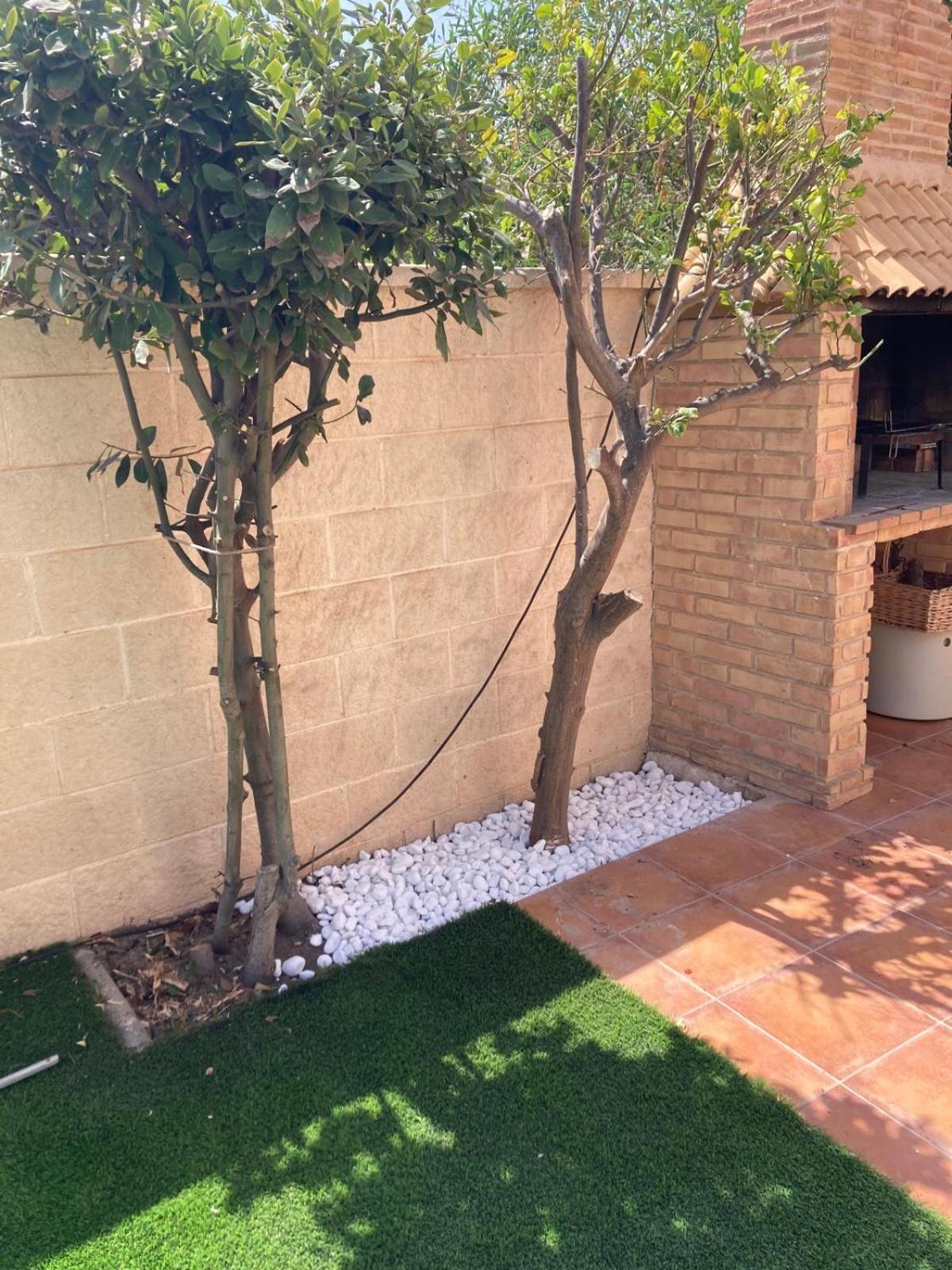 Luxury Villa 20Mts Far From The Sea Orihuela Ngoại thất bức ảnh